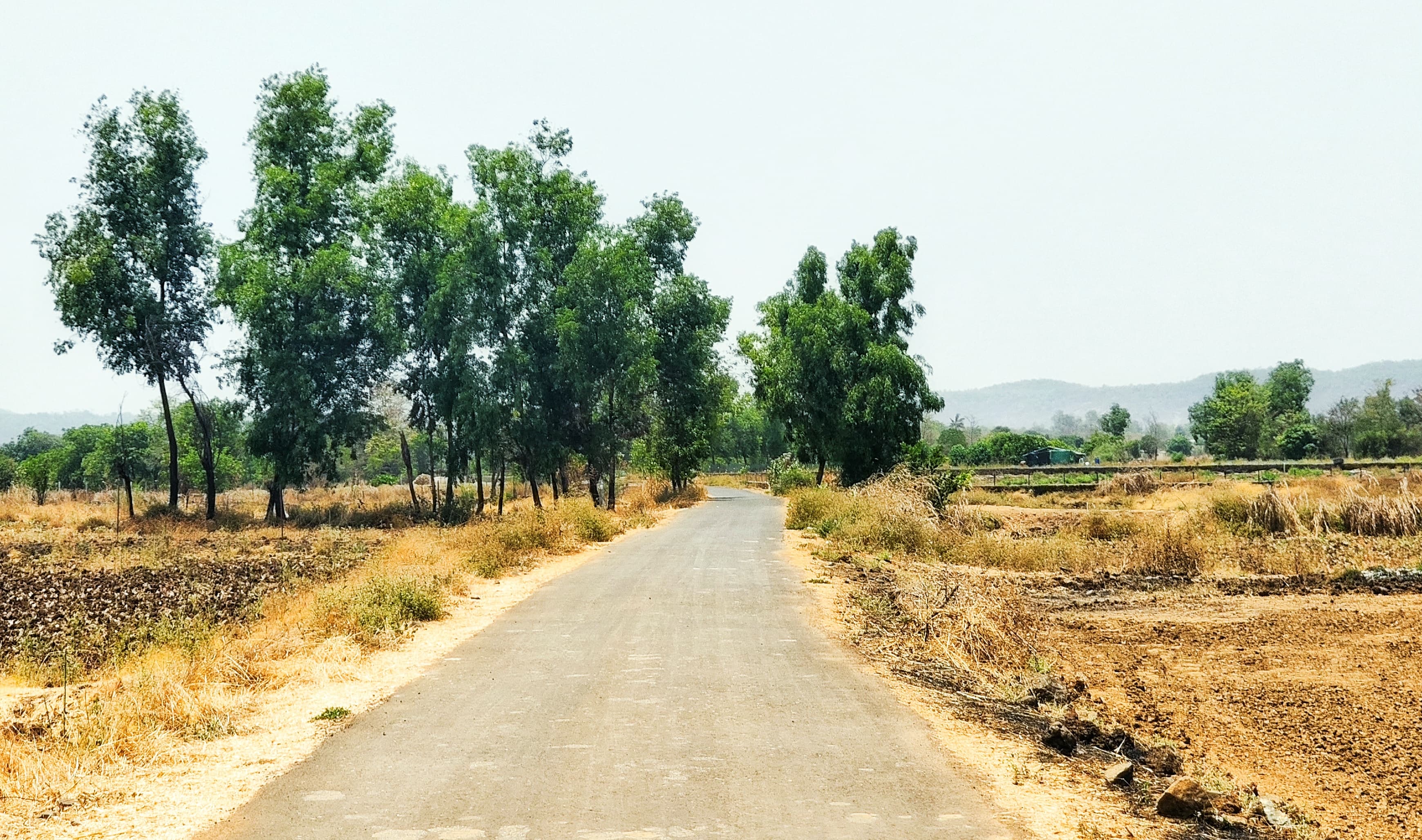 The Mango Farm Plots for sale Surav Tarf Tala, Maharashtra , Kokan